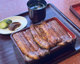 Dinner at Unagi no Matsu Ka (うなぎのまつ嘉)