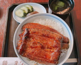Dinner at Unagi no Matsu Ka (うなぎのまつ嘉)