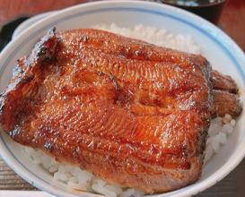 Dinner at Unagi no Matsu Ka (うなぎのまつ嘉)
