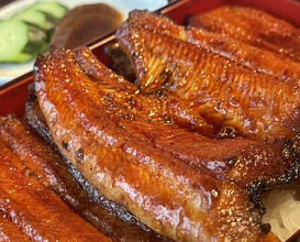 Dinner at Unagi no Matsu Ka (うなぎのまつ嘉)