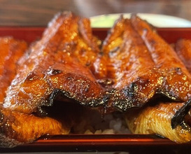 Dinner at Unagi no Matsu Ka (うなぎのまつ嘉)