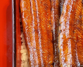Dinner at Unagi no Matsu Ka (うなぎのまつ嘉)