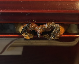 Dinner at Unagi no Matsu Ka (うなぎのまつ嘉)