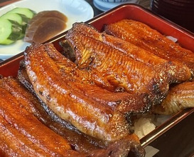 Dinner at Unagi no Matsu Ka (うなぎのまつ嘉)