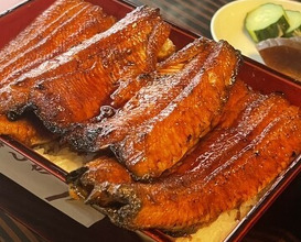 Dinner at Unagi no Matsu Ka (うなぎのまつ嘉)