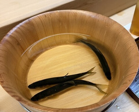 Dinner at Matsukawa (松川)
