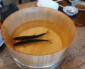 Dinner at Matsukawa (松川)