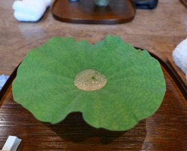 Dinner at Matsukawa (松川)