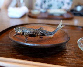 Dinner at Matsukawa (松川)