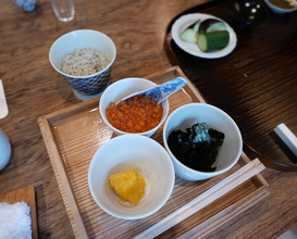 Dinner at Matsukawa (松川)