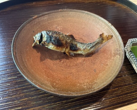 Dinner at Matsukawa (松川)
