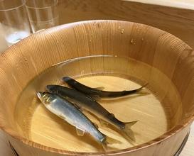 Dinner at Matsukawa (松川)