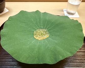 Dinner at Matsukawa (松川)