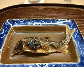 Dinner at Matsukawa (松川)