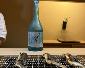 Dinner at Matsukawa (松川)