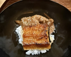 Dinner at Matsukawa (松川)