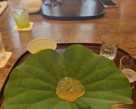 Dinner at Matsukawa (松川)