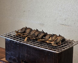 Dinner at Matsukawa (松川)