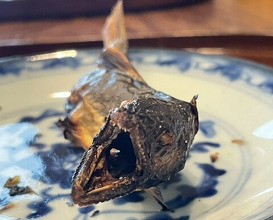 Dinner at Matsukawa (松川)