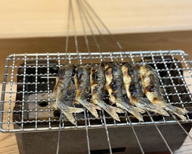 Dinner at Matsukawa (松川)