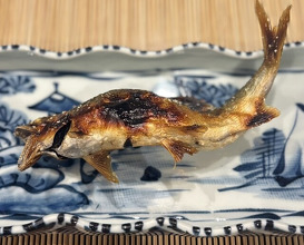 Dinner at Mikadoya (美加登家)