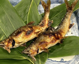 Dinner at Mikadoya (美加登家)