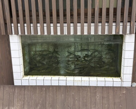 Dinner at Mikadoya (美加登家)