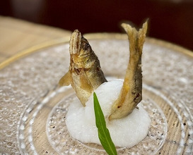 Dinner at Mikadoya (美加登家)
