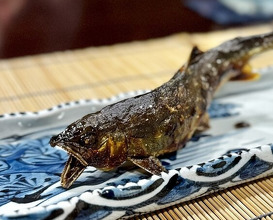 Dinner at Mikadoya (美加登家)