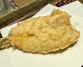 Dinner at Mikawa Zezankyo (みかわ 是山居)