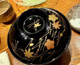 Dinner at Mikawa Zezankyo (みかわ 是山居)