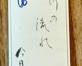 Dinner at Mikawa Zezankyo (みかわ 是山居)