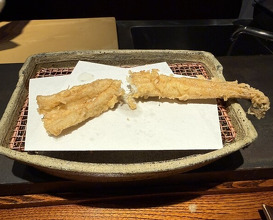 Dinner at Mikawa Zezankyo (みかわ 是山居)