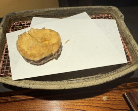 Dinner at Mikawa Zezankyo (みかわ 是山居)