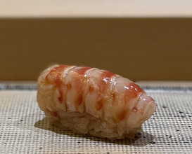 Dinner at Sushi Miyakawa (すし宮川)