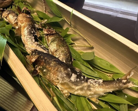 Dinner at Miyamaso (美山荘)