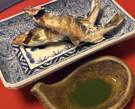 Dinner at Miyamaso (美山荘)