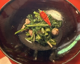 Dinner at Miyamaso (美山荘)