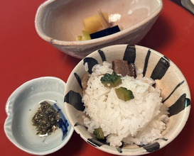 Dinner at Miyamaso (美山荘)