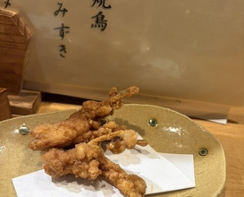 Dinner at Yakitori Mizuki (焼鳥 みずき)
