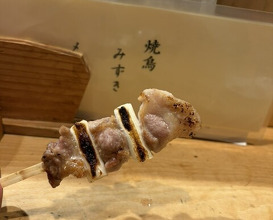 Dinner at Yakitori Mizuki (焼鳥 みずき)