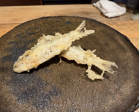 Dinner at Tempura Mokkosu (天ぷら もっこす)