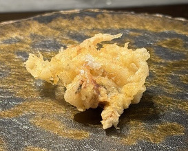 Dinner at Tempura Mokkosu (天ぷら もっこす)