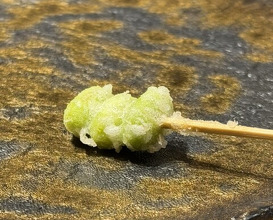 Dinner at Tempura Mokkosu (天ぷら もっこす)