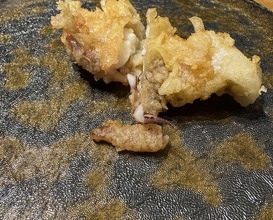 Dinner at Tempura Mokkosu (天ぷら もっこす)