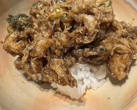 Dinner at Tempura Mokkosu (天ぷら もっこす)