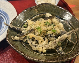 Dinner at Tempura Mokkosu (天ぷら もっこす)