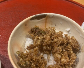 Dinner at Tempura Mokkosu (天ぷら もっこす)
