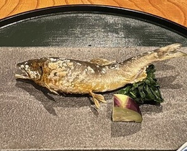 Dinner at Mori Fuji (森ふじ)