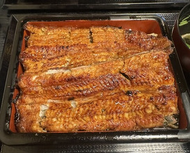 Dinner at Unagi Musashino (鰻 むさし乃)